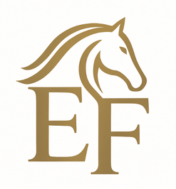 EF司法書士事務所